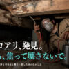空き家のシロアリ被害を発見したときの冷静な対処法と駆除費用・活用方法を解説するイメージ